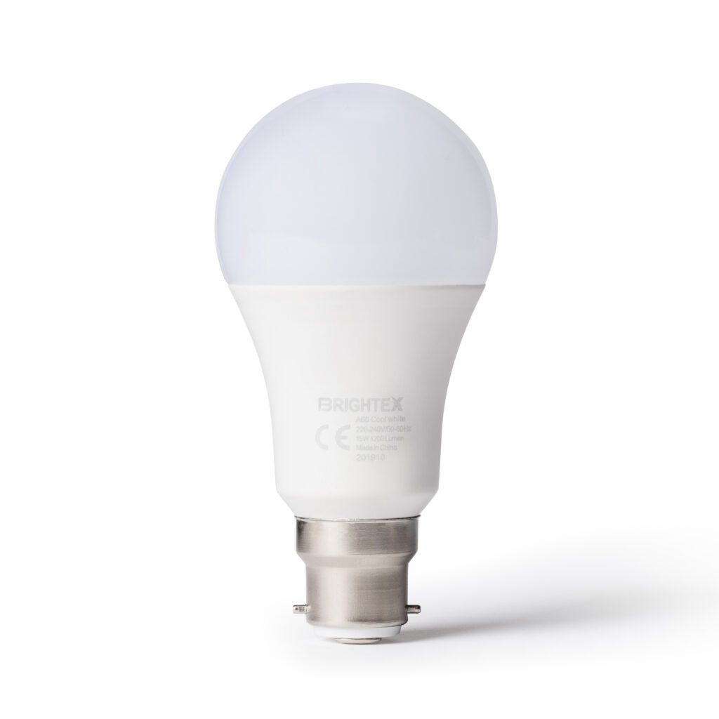 LED Light Bulb B22